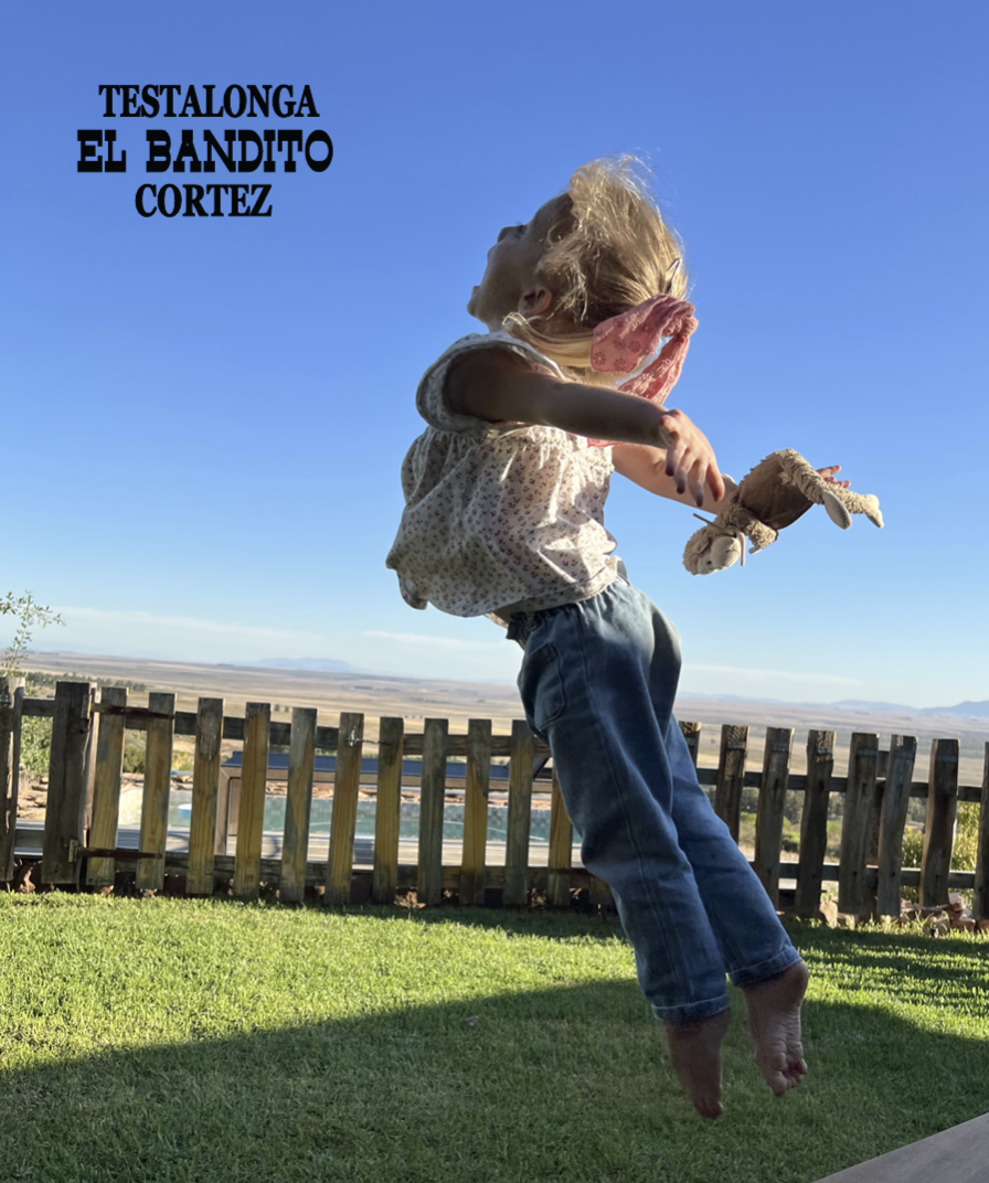 (image for) Testalonga El Bandito Cortez Dry White Chenin 2024